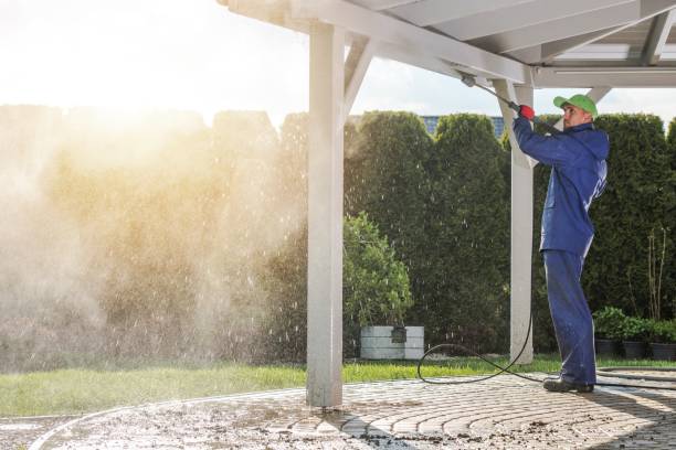 Best Driveway Pressure Washing  in Kingstown, MD